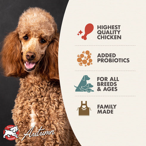 Fromm Four-Star Dry Dog Food - Chicken Au Frommage - 12lb Bag